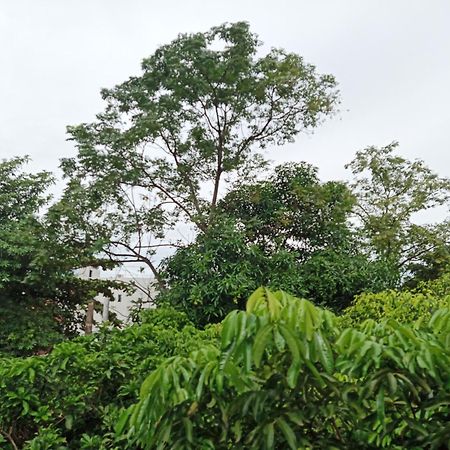 Green Space Homestay Ninh Binh Bagian luar foto
