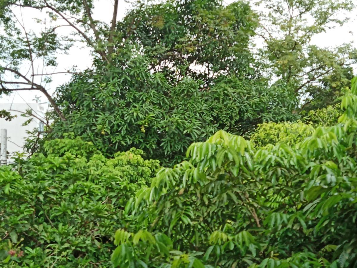 Green Space Homestay Ninh Binh Bagian luar foto