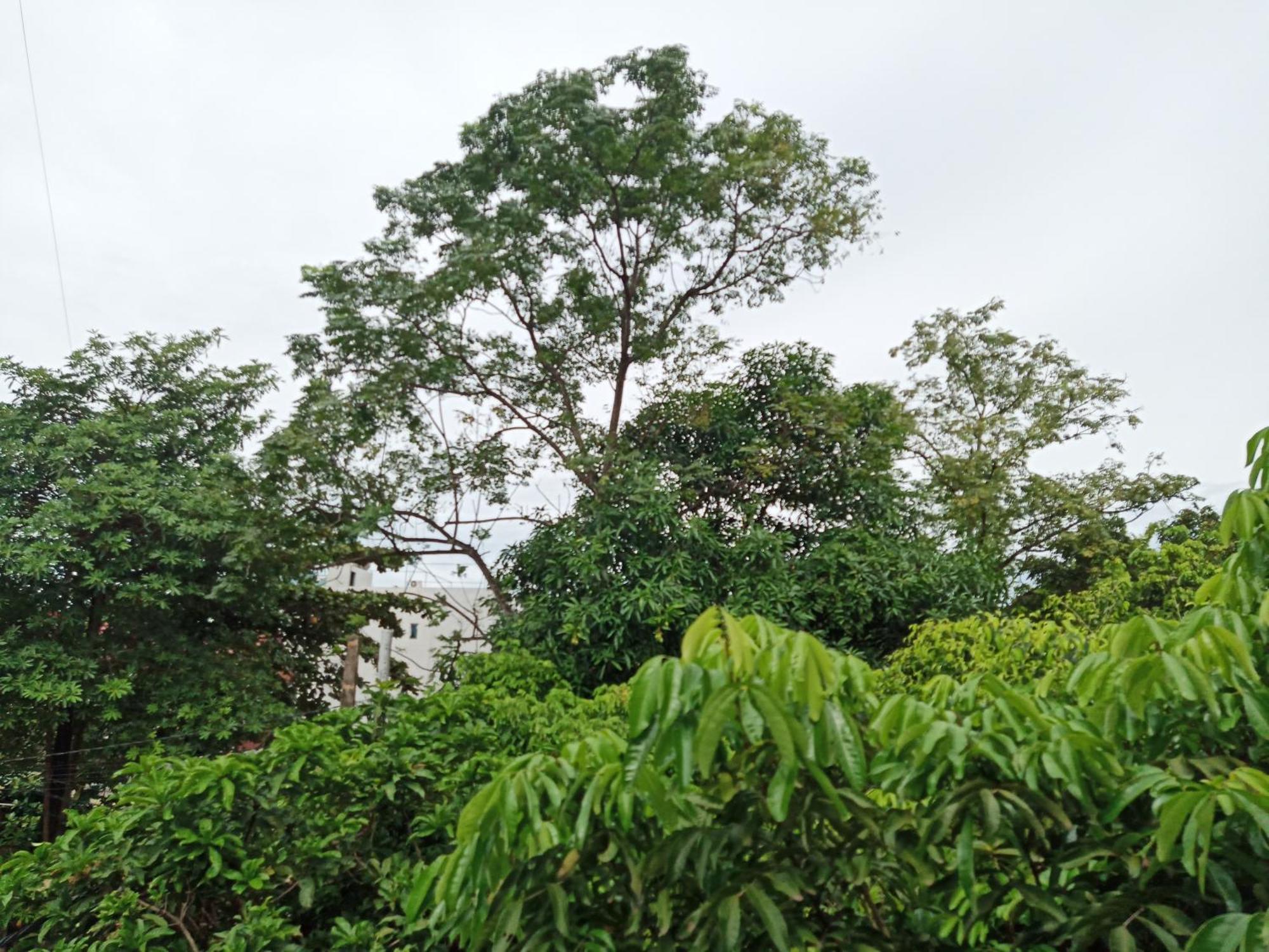 Green Space Homestay Ninh Binh Bagian luar foto