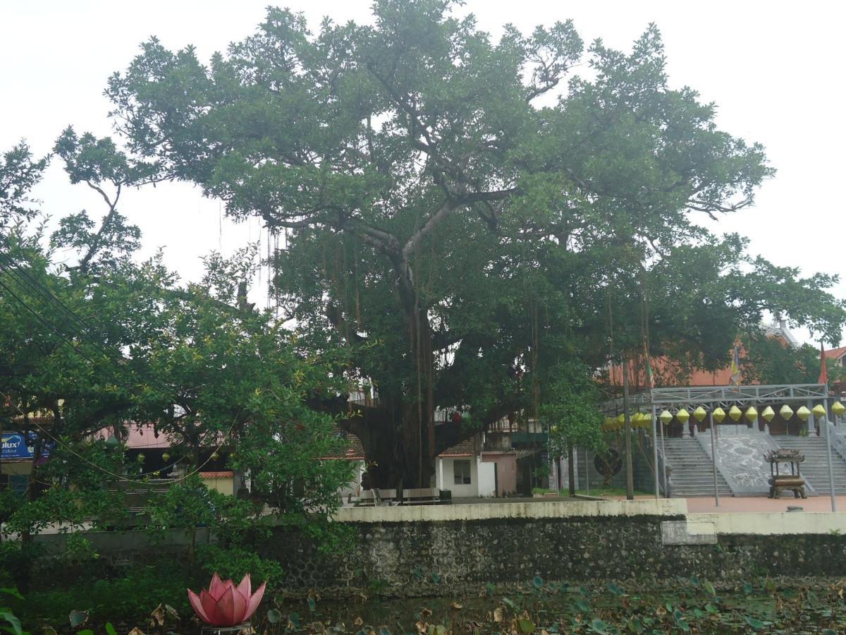 Green Space Homestay Ninh Binh Bagian luar foto