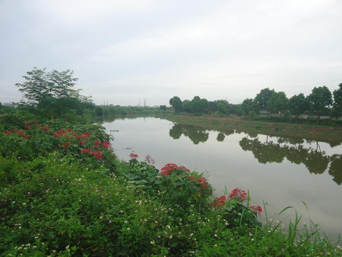 Green Space Homestay Ninh Binh Bagian luar foto