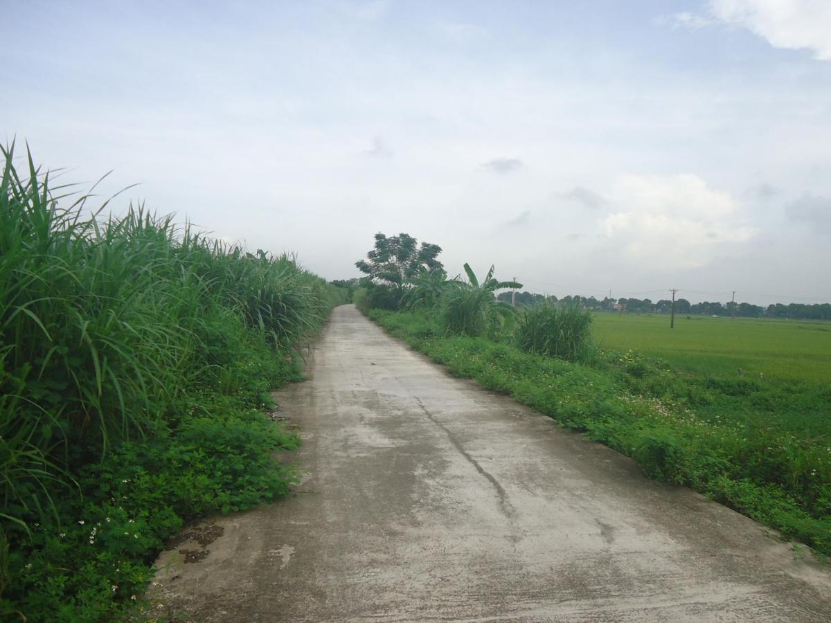 Green Space Homestay Ninh Binh Bagian luar foto
