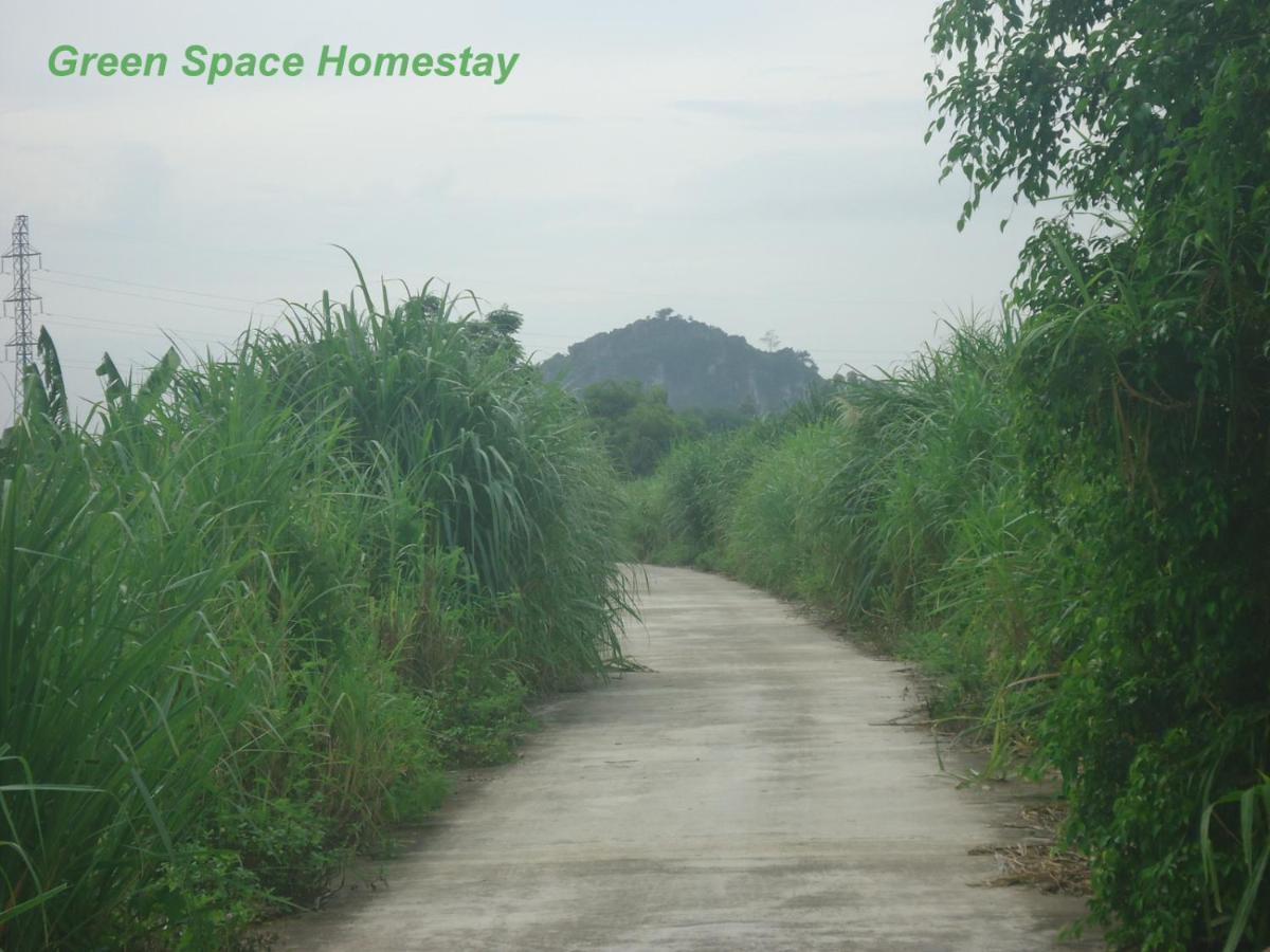 Green Space Homestay Ninh Binh Bagian luar foto