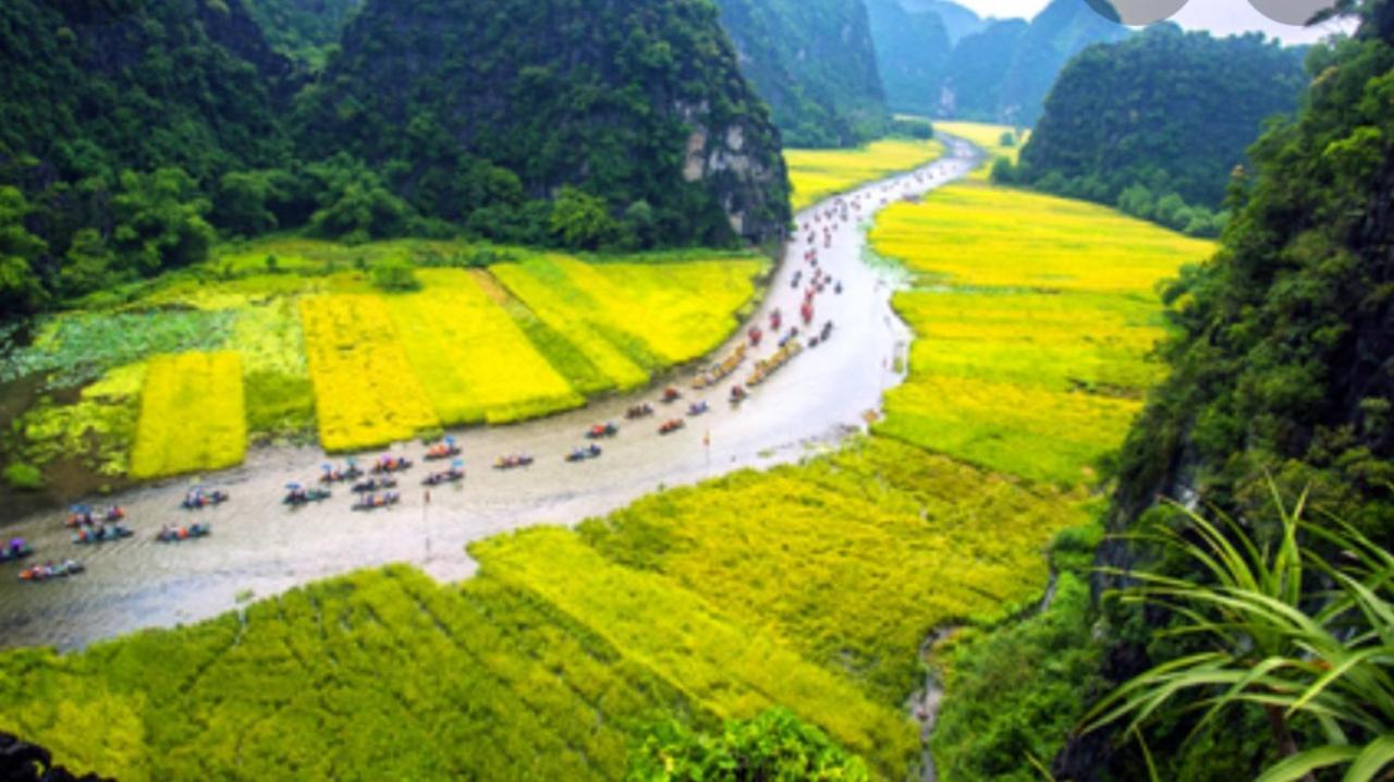 Green Space Homestay Ninh Binh Bagian luar foto