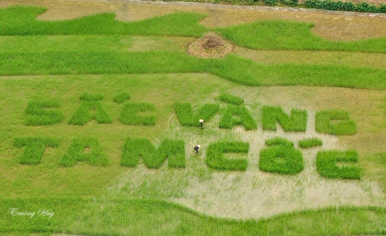 Green Space Homestay Ninh Binh Bagian luar foto