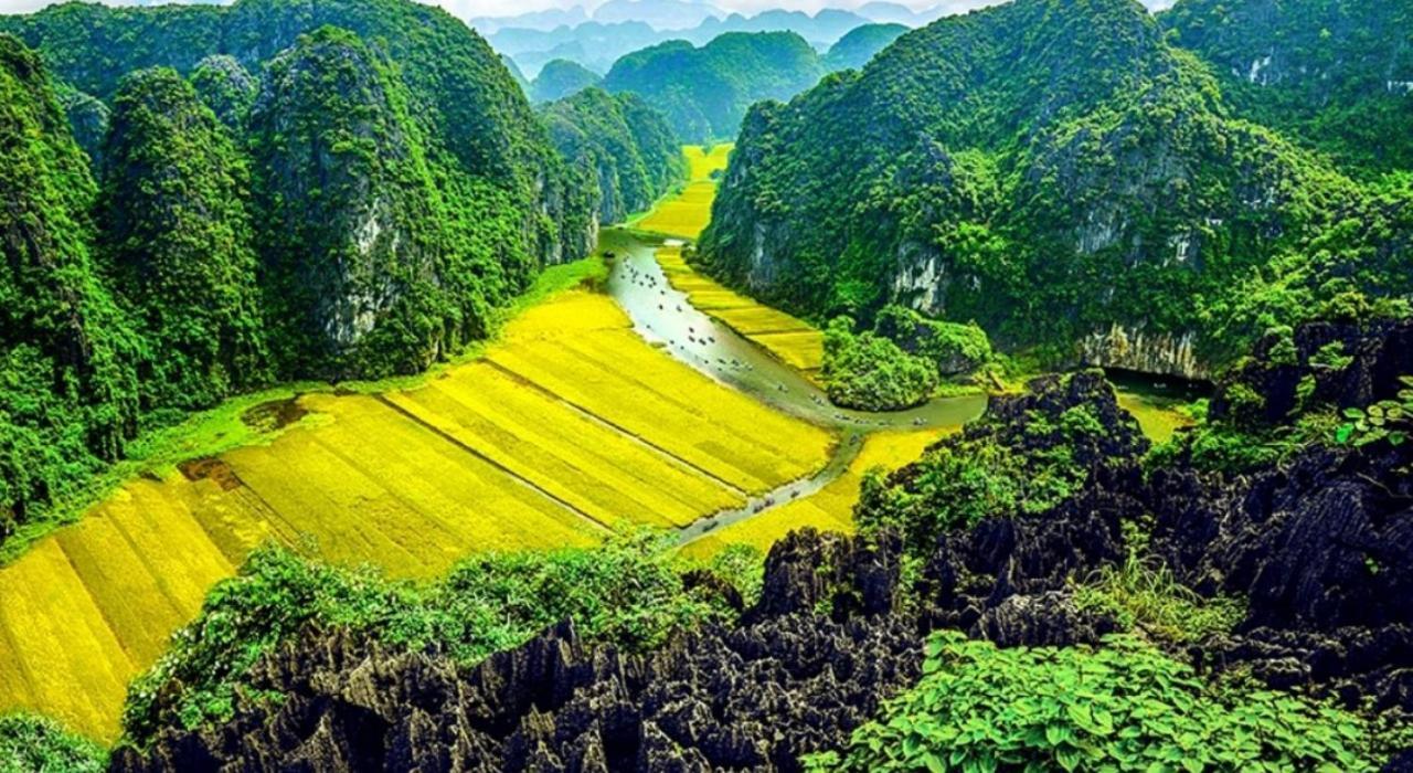 Green Space Homestay Ninh Binh Bagian luar foto