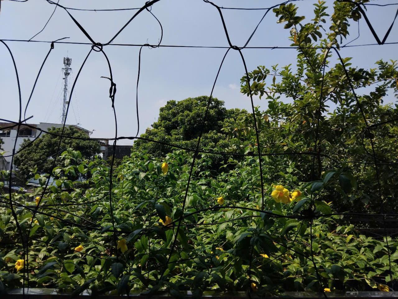 Green Space Homestay Ninh Binh Bagian luar foto